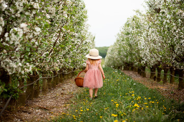 Obraz premium Vinnytsia, Ukraine. May 18, 2021 A little girl walks with a basket in the garden