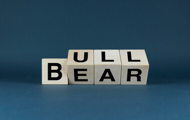 Bull or Bear. Cubes form the words Bull or Bear.