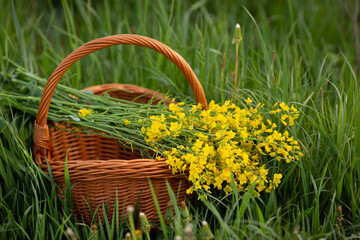 Yellow bouquet of flowers in a basket. Copy space