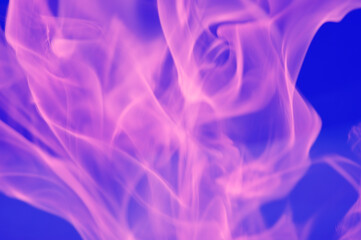 Obraz premium Abstract glare of flames of pink light on a blue background.