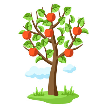 Summer tree with apples and leaves. Seasonal illustration.