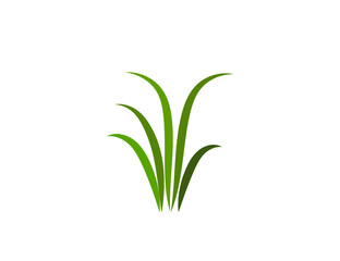 Green grass. Gazon. Vector icon. web version.