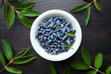 Haskap berry with fresh green leaves in white bowl on wooden table. Honeyberry (Lonicera caerulea)