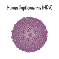 HPV Human Papillomavirus vector background