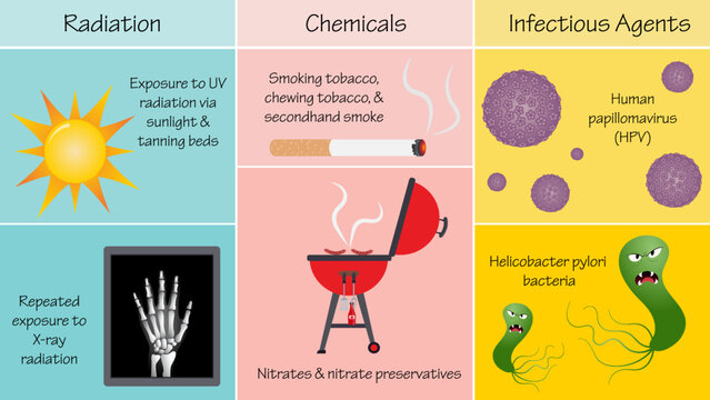 External causes of DNA mutagenesis 