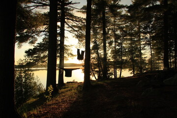 sunset in the forest and lake