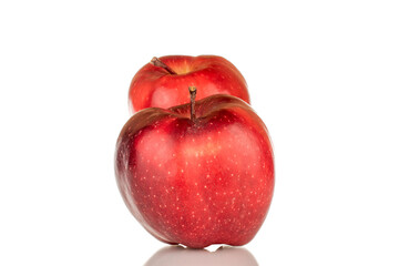 Two ripe red apples, close-up, isolated on a white background.