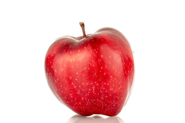 One ripe red apple, close-up, isolated on a white background.