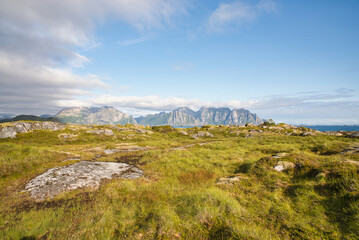 Fototapeta premium Beautiful lush grassland on Lofoten Island with mountains of a second island in the far background and light atmospheric clouds in the sky. Wonderful summer vacation destination. 