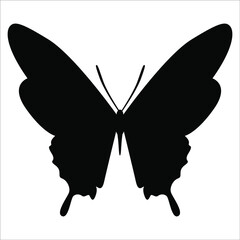 Butterfly silhouette in vector for illustration. A simple form of an insect