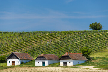 Fototapeta na wymiar Traditional wine cellars street in Diepolz near Mailberg, Lower Austria, Austria