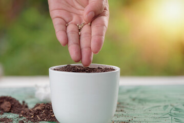 Fototapeta na wymiar Female hands planting plants from tiny seeds into small cute ceramic pots, Green nature bokeh Background, Eco friendly and Environment Earth Day, Arbor Day, Hobby of gardening, home farming concept.