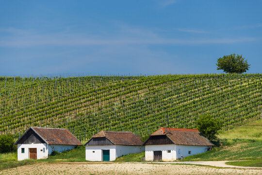 Traditional wine cellars street in Diepolz near Mailberg, Lower Austria, Austria