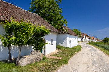 Fototapeta Traditional wine cellars street in Diepolz near Mailberg, Lower Austria, Austria obraz