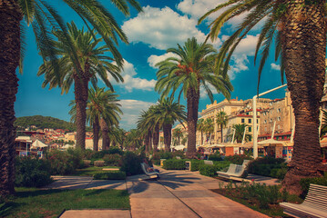 Palm alley in Split