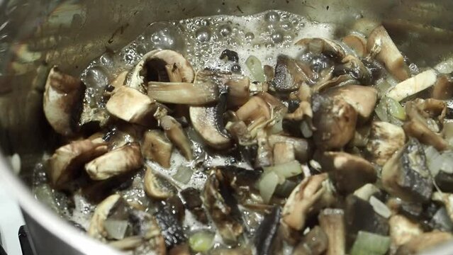 Close up mushrooms are boiled in a saucepan with boiling water. Slow motion video in HD. Evaporation of liquid from mushrooms for cooking soup, sauce, healthy protein vegetable food. Work piece.