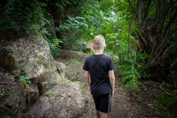 Naklejka na ściany i meble a boy makes his way through the thickets of the forest along the path