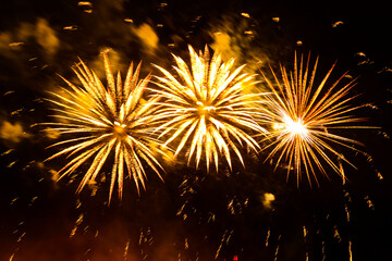 Fototapeta na wymiar Golden fireworks in the form of flowers on a black night sky.