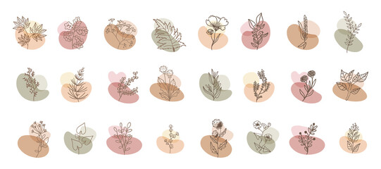 Set of flower boho abstract shape with leaves ornaments