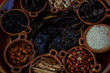 Ingredients to prepare the traditional mole poblano from San Lucas Atzala: peanuts, cinnamon, chili and chocolate