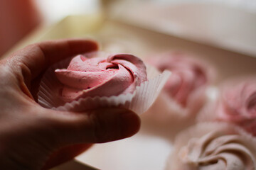 homemade marshmallows. berry and vanilla sweet dessert