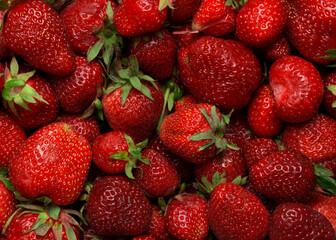 ripe strawberries, summer background, grown in ukraine