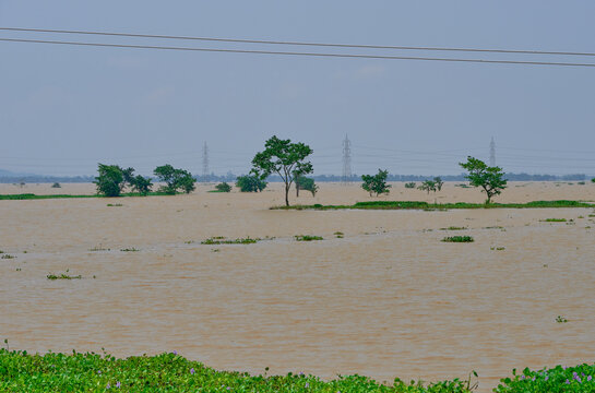 Fields Under Flood Waters In Assam, India