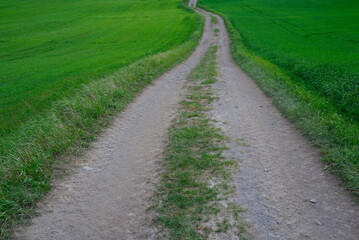Fototapeta na wymiar A gravel road passing through the green fields of Toten, Norway.