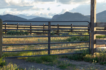 Livestock Gate in Heavy Duty Modular Panel with Painted Steel Tubes in Sierra Valley, California