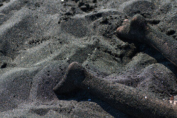 Feet in the black magnetic sand of the Black Sea beach. beautiful black background texture close up. 

