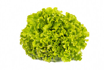 Obraz na płótnie Canvas Green fresh curly lettuce leaves isolated on white background