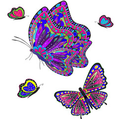 Obraz premium Bright with vivid colors of butterflies isolated on white background