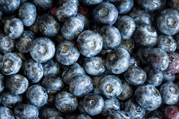 Fresh ripe blueberries close up