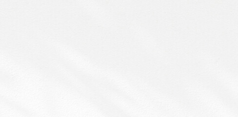 Abstract blurred background. The shadow reflection of leaves and gray light lines. on the white surface concrete wall. for wallpaper, backdrop and design.