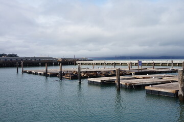 Fototapeta na wymiar Pier on a Cloudy day