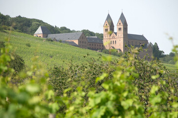 Fototapeta na wymiar Rüdesheim (Rhein), Abtei St. Hildegard zwischen Weinbergen