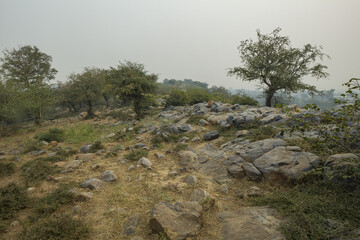 view of govardhan hill rocky surface where vegetation is around vrindavan india