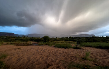 Storm is coming in South Africa bush country
