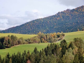 Autumn colorful leaves on the ground and on the trees. Slovakia	