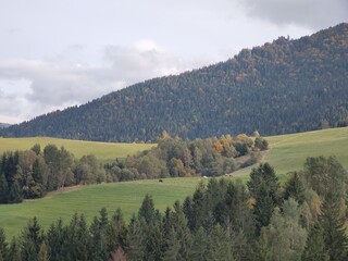 Autumn colorful leaves on the ground and on the trees. Slovakia	