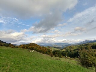 Autumn colorful leaves on the ground and on the trees. Slovakia	