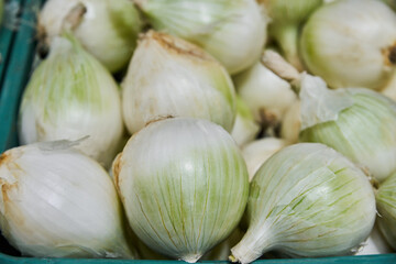 White onions placed on a shelf for sale within a market