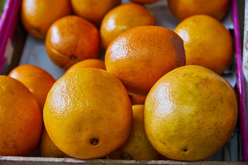 Yellow oranges placed on a shelf for sale within a market