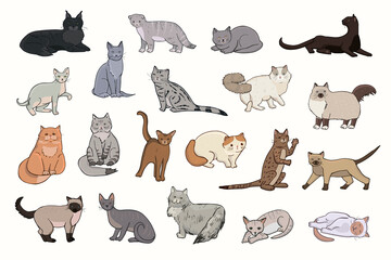 Cats breeds vector illustrations set