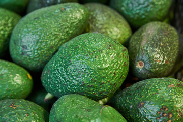 Avocados placed on a shelf for sale within a market