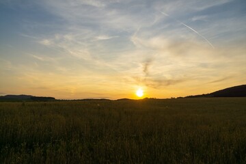 Naklejka na ściany i meble Wheat field during sunnrise or sunset. Slovakia 