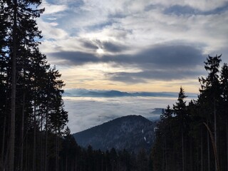 Mist inversion in the woods and mountains during autumn and winter. Slovakia