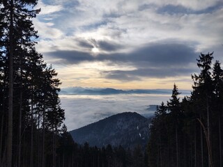 Obraz premium Mist inversion in the woods and mountains during autumn and winter. Slovakia