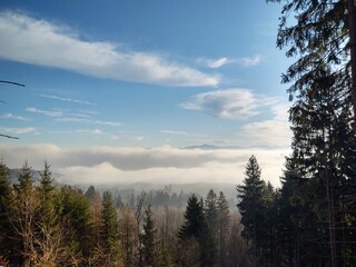 Mist inversion in the woods and mountains during autumn and winter. Slovakia