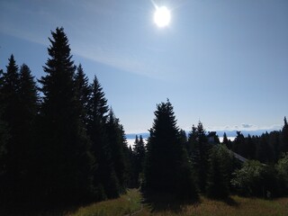 Fototapeta premium Mist inversion in the woods and mountains during autumn and winter. Slovakia